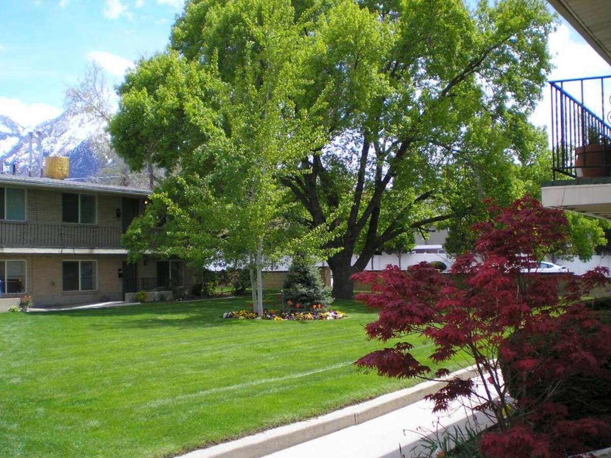 Landscaped apartment community courtyard